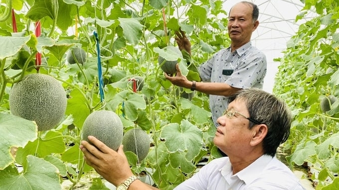 Nông nghiệp Cần Thơ: Chuyển mình mạnh mẽ với công nghệ cao