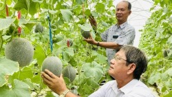 Nông nghiệp Cần Thơ: Chuyển mình mạnh mẽ với công nghệ cao