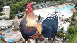 Các phòng nghỉ không có cửa sổ của toà nhà hình con gà cao gần 35m