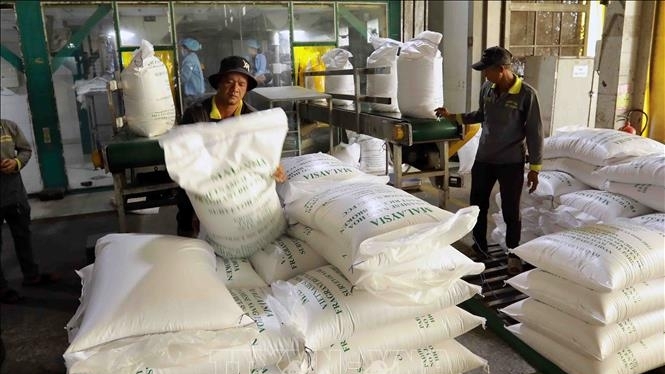 Xuất khẩu gạo Việt Nam tìm thị trường mới; nông dân tại Đồng Tháp đang gặp khó