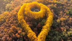 Sợi dây chuyền ngọc lục bảo giữa núi rừng Nam Kinh