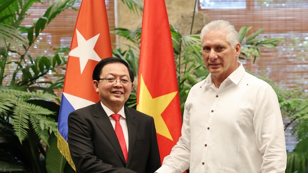 Phó Thủ tướng Chính phủ Hồ Quốc Dũng gặp Bí thư thứ nhất, Chủ tịch Cuba Miguel Díaz-Canel