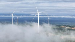 Khát vọng tạo giá trị bền vững từ năng lượng tái tạo của Bầu Hiển