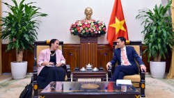 Thứ trưởng Đặng Hoàng Giang tiếp Cố vấn hàng đầu Bộ Ngoại giao và Thương mại New Zealand