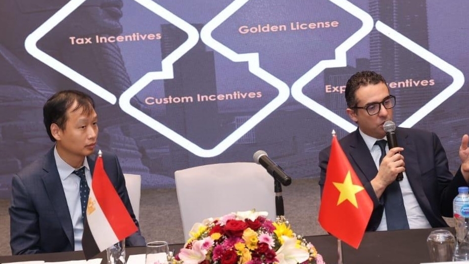 Diễn đàn Doanh nghiệp Việt Nam tại Cairo: Cơ hội thương mại và đầu tư trong khuôn khổ Đối tác toàn diện