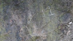 Trung Quốc: Tìm thấy dấu chân khủng long từ khoảng 200 triệu năm trước