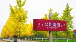 Sắc Thu Thiên Tân