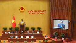 Quốc hội thông qua Luật Điều ước quốc tế (sửa đổi) và Nghị quyết về cơ chế, chính sách đặc thù