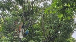 Lịch cúp điện Thành phố Huế hôm nay ngày 16/12/2025