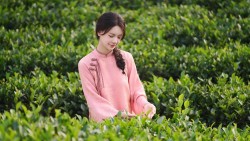 Lời thì thầm từ linh hồn trong sắc xanh đồi chè Thái Nguyên