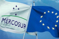 Thỏa thuận thương mại EU-Mercosur: Hài hoà sự khác biệt