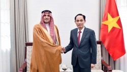 Bộ trưởng Ngoại giao Lê Hoài Trung tiếp Đại sứ Saudi Arabia