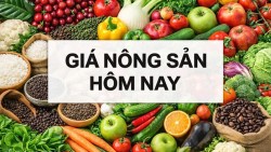 Giá nông sản hôm nay 2/1/2026: Giá cà phê tạo mặt bằng giá cao, thói quen tiêu dùng thay đổi; 3 bước chinh phục hệ thống bán lẻ Pháp