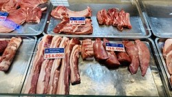 Giá heo hơi hôm nay 15/3: Ổn định trên cả 3 miền, vùng giá giao dịch trong khoảng từ 60.000 - 66.000 đồng/kg