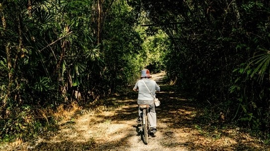 Việt Nam trước cơ hội định vị 'vùng đất chữa lành'