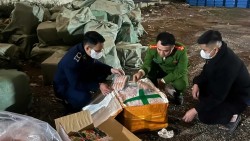 Thu giữ hơn 10 tấn thực phẩm đông lạnh không rõ nguồn gốc tại Hà Nội