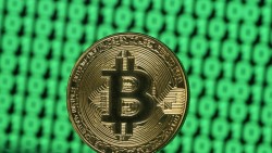 Bitcoin tiếp tục lao dốc, xóa sạch đà tăng kể từ sau bầu cử Tổng thống Mỹ 2024