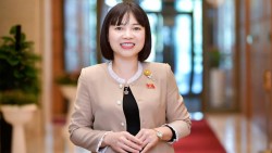 Lá phiếu và trách nhiệm với tương lai đất nước