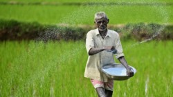 Ấn Độ kêu gọi Trung Quốc nới hạn chế xuất khẩu urê vì nguyên nhân này