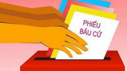 Trường hợp nào cử tri được nhờ người khác viết hộ phiếu, bỏ hộ phiếu bầu cử?