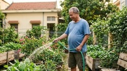 Phân loại 3 dạng béo phì và cách phòng tránh, điều trị