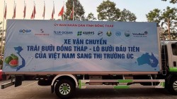 Hành trình trái bưởi của Việt Nam chinh phục thị trường Australia tiêu chuẩn cao, khắt khe