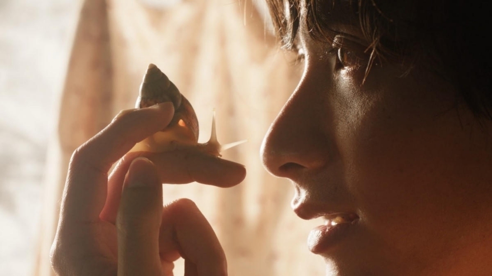 Phim Việt tranh giải tại Liên hoan phim Cannes 2026