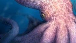 Bạch tuộc khổng lồ thời kỷ Phấn trắng dài gần 20m, có lực cắn rất mạnh