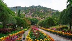 Tức Dụp tháng Tư: Đánh thức đại ngàn bằng bản giao hưởng hòa bình