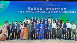 Việt Nam tích cực tham gia MAB-ICC 38, vận động công nhận Khu Dự trữ sinh quyển thế giới Phong Nha - Kẻ Bàng
