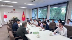 Trà Thái Nguyên tìm hướng đi mới từ kinh nghiệm phát triển ngành trà Nhật Bản