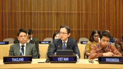 Việt Nam tham gia Nhóm Bạn bè tại Liên hợp quốc về phòng, chống mua bán người sử dụng công nghệ