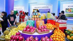 Trái cây ASEAN hội tụ tại Quảng Tây (Trung Quốc)