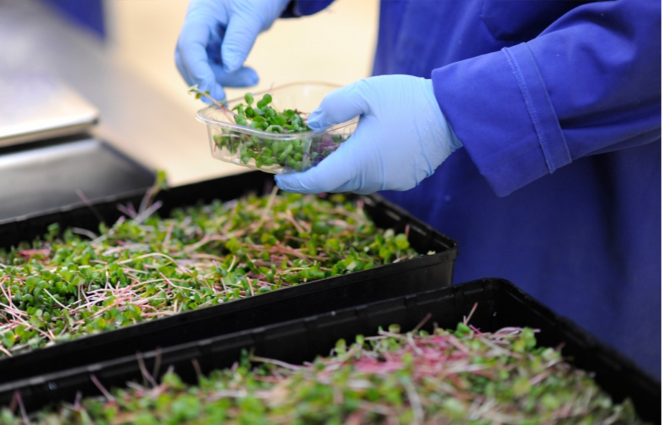 Thái Lan khuyến khích đầu tư nông nghiệp hiện đại