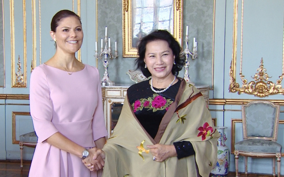 viet nam thuy dien 50 nam an tinh