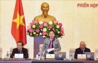 huy dong suc manh tong hop bao ve bien gioi quoc gia