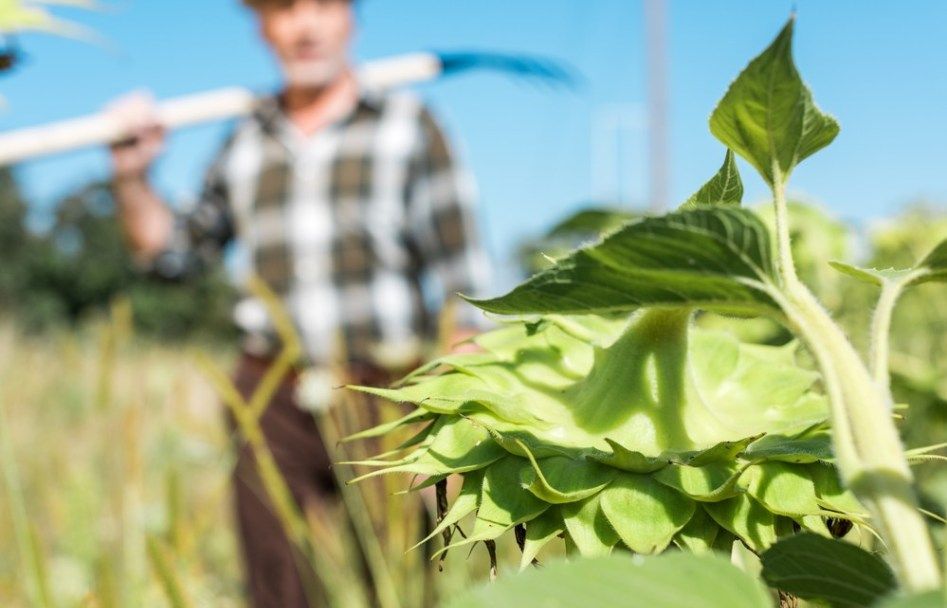 Mỹ đòi lại những gì “bỏ rơi” ở TPP