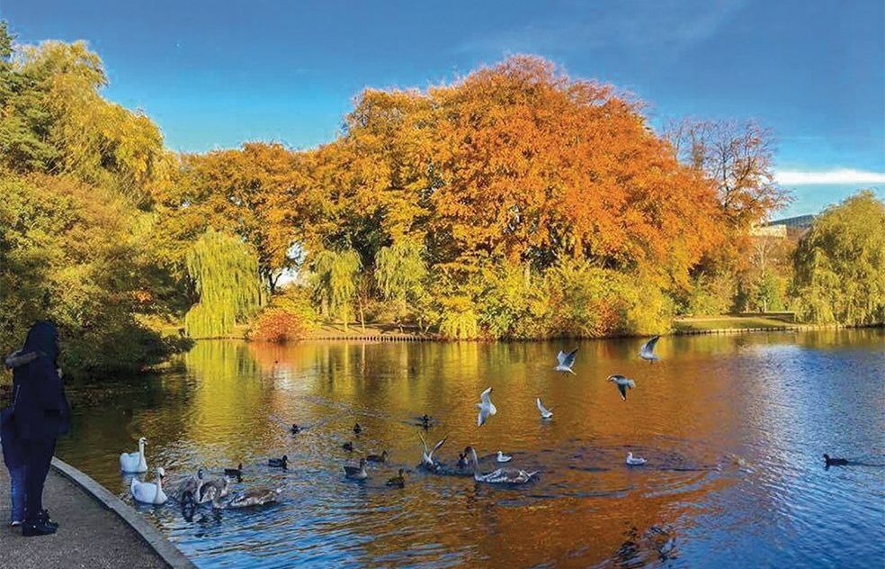 Nhớ Tết ta ở Đan Mạch