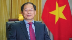 Ngoại giao kinh tế đóng góp tích cực vào phát triển của đất nước