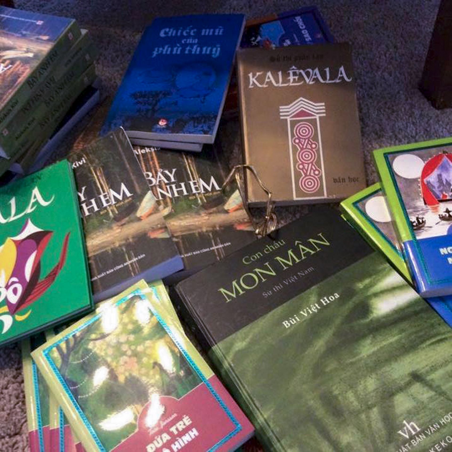 bui viet hoa nguoi viet su thi viet tren dat phan lan