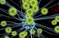 trung quoc cap song sinh chinh gene dau tien tren the gioi ra doi