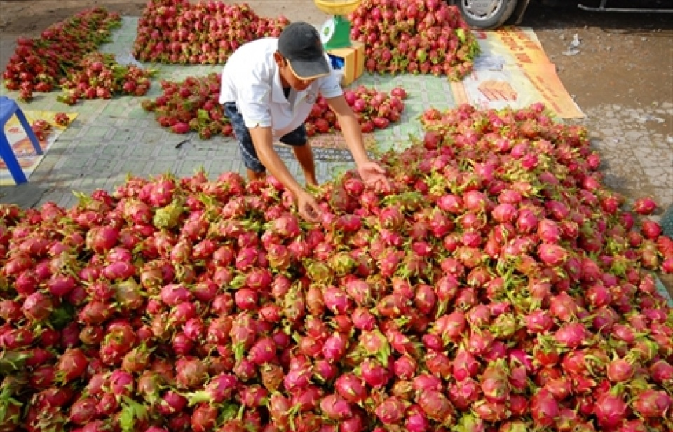 Đôi điều về nguyên liệu