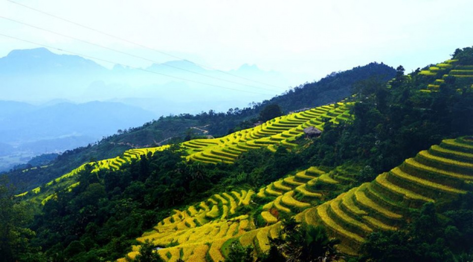 tang cuong quang ba hinh anh viet nam tai argentina