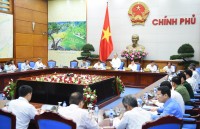 my se quyet dinh ve chong bien doi khi hau trong tuan toi