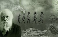 Gốc “khỉ” của loài người