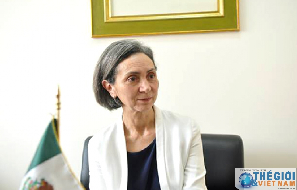 Việt Nam - Mexico: Kỳ vọng phát triển mạnh mẽ và năng động hơn