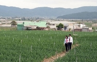 agribank vung buoc thuc hien co phan hoa