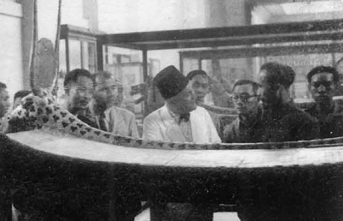 Bác Hồ ở Cairo, Ai Cập