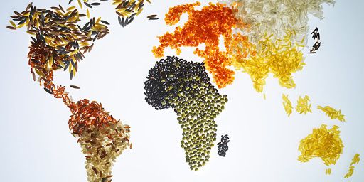 dai-dich-covid-19-va-bai-toan-an-ninh-luong-thuc