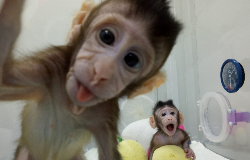 Trung Quốc - Đối thủ của Mỹ trong khoa học